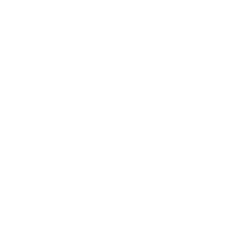 ZANG brand mark